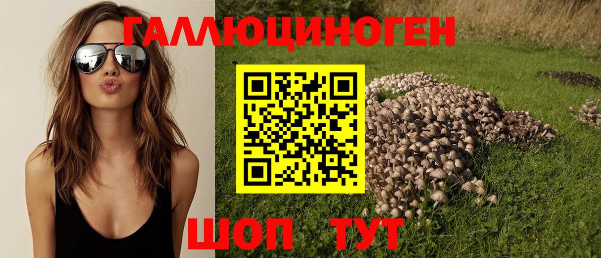 Нерюнгри  Галлюциногенные грибы ЛСД  Вход с VPN 